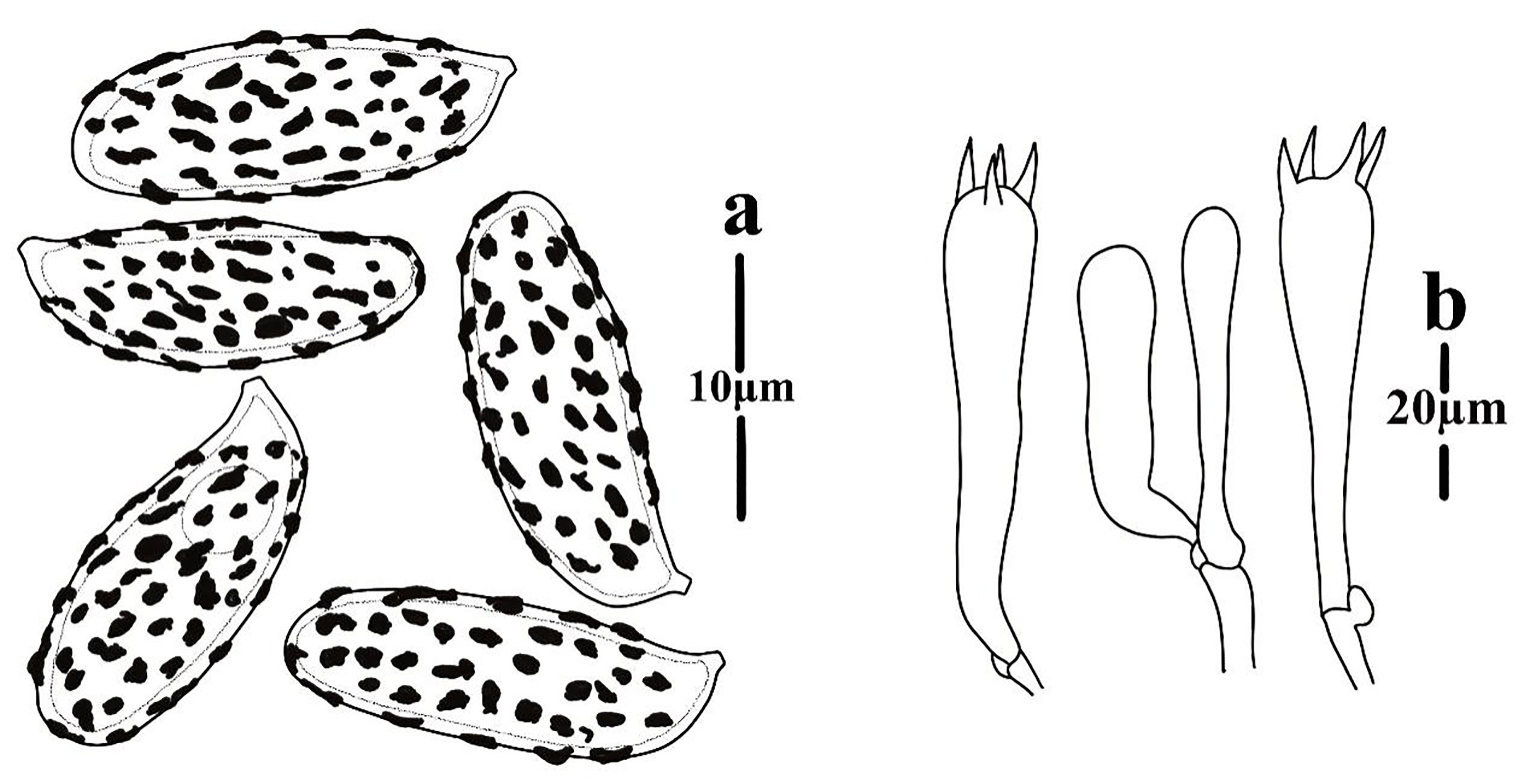 Figure 110